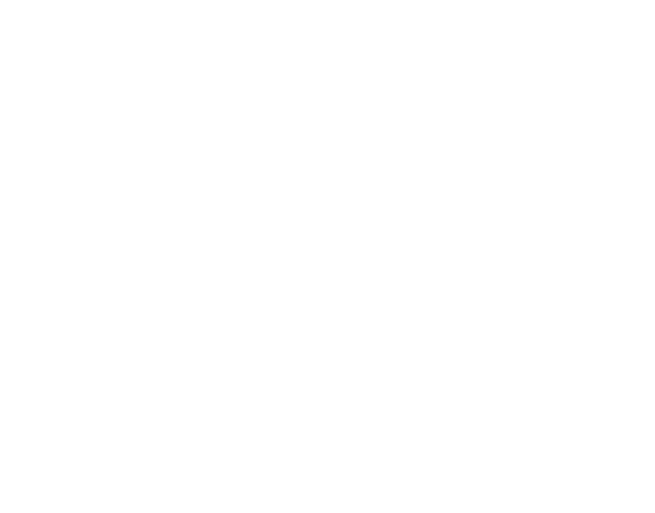 STARWARS R2-D2 TAMAGOTCH