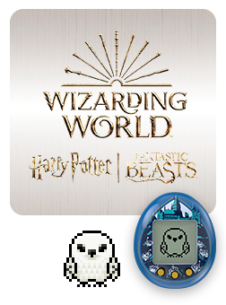 WIZARDING WORLD