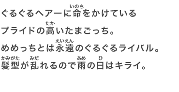 ぐるぐるヘアーに命をかけているプライドの高いたまごっち。めめっちとは永遠のぐるぐるライバル。髪型が乱れるので雨の日はキライ。