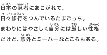 日本の忍者にあこがれて、日々修行をつんでいるたまごっち。まわりにはやさしく自分には厳しい性格だけど、意外とミーハーなところもある。