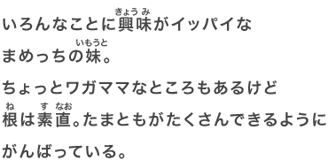 いろんなことに興味がイッパイなまめっちの妹。ちょっとワガママなところもあるけど根は素直。たまともがたくさんできるようにがんばっている。