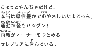 Tamagotchi Smart（たまごっちスマート） | ネットで発見