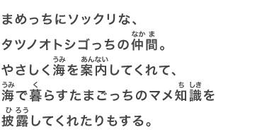 まめっちにソックリな、タツノオトシゴっちの仲間。やさしく海を案内してくれて、海で暮らすたまごっちのマメ知識を披露してくれたりもする。