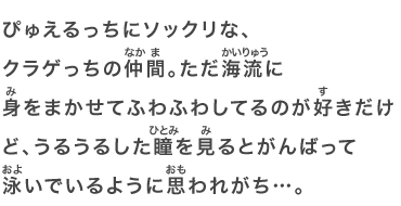 ぴゅえるっちにソックリな、クラゲっちの仲間。ただ海流に身をまかせてふわふわしてるのが好きだけど、うるうるした瞳を見るとがんばって泳いでいるように思われがち…。