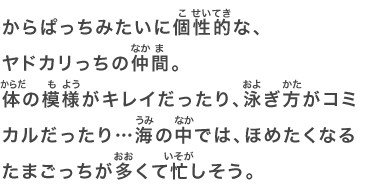 からぱっちみたいに個性的な、ヤドカリっちの仲間。体の模様がキレイだったり、泳ぎ方がコミカルだったり…海の中では、ほめたくなるたまごっちが多くて忙しそう。