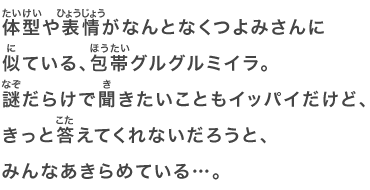 体型や表情がなんとなくつよみさんに似ている、包帯グルグルミイラ。謎だらけで聞きたいこともイッパイだけど、きっと答えてくれないだろうと、みんなあきらめている…。