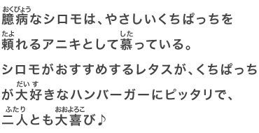 臆病なシロモは、やさしいくちぱっちを頼れるアニキとして慕っている。シロモがおすすめするレタスが、くちぱっちが大好きなハンバーガーにピッタリで、二人とも大喜び♪