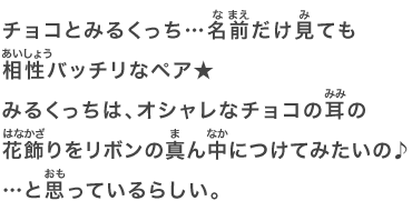 チョコとみるくっち…名前だけ見ても相性バッチリなペア★みるくっちは、オシャレなチョコの耳の花飾りをリボンの真ん中につけてみたいの♪…と思っているらしい。