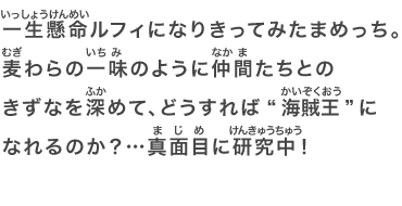 一生懸命ルフィになりきってみたまめっち。麦わらの一味のように仲間たちとのきずなを深めて、どうすれば“海賊王”になれるのか？…真面目に研究中！