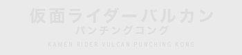 仮面ライダーバルカン パンチングコング