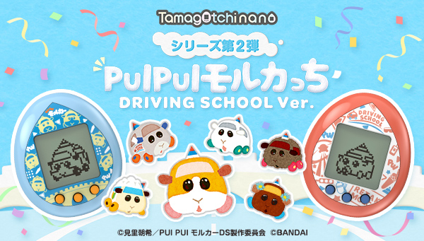 PUI PUI モルカっち DRIVING SCHOOL