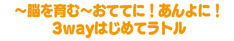 ～脳を育む～おててに！あんよに！3wayはじめてラトル