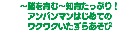 ～脳を育む～知育たっぷり！ アンパンマンはじめてのワクワクいたずらあそび
