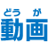 動画