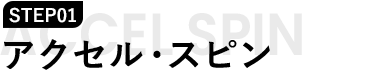 アクセル・スピン