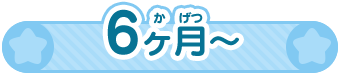 6ヶ月～