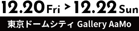 12.20 fri > 12.22 Sun 東京ドームシティ Gallery AaMo