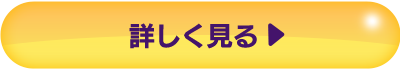 詳しく見る