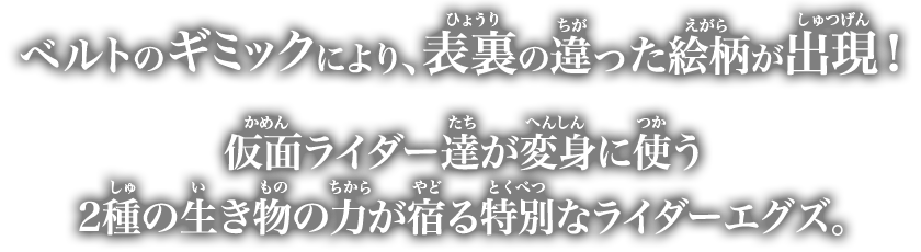 ベルトのギミックにより、表裏の違った絵柄が出現！仮面ライダー達が変身に使う2種のいきものの力が宿る特別なライダーエグズ