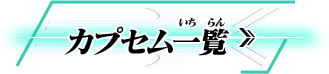 カプセム一覧