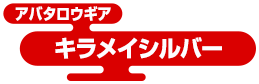 アバタロウギア キラメイシルバー