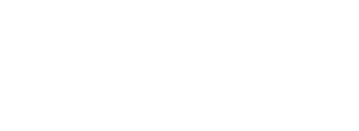 Tokusatsu Action Figuer
