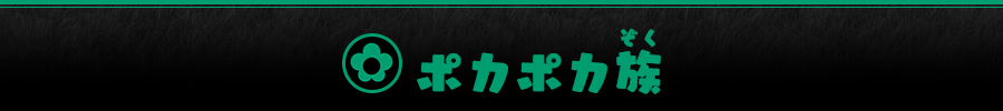 ポカポカ族