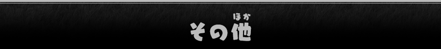 その他