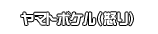 ヤマトボケル（怒り）