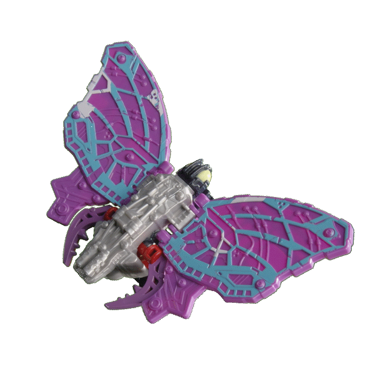 ゴッドパピヨン