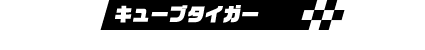 キューブタイガー