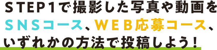 ＳＮＳコース、ＷＥＢ応募コース、いずれかの方法で投稿しよう！