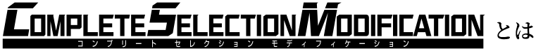 COMPLETE SELECTION MODIFICATION とは