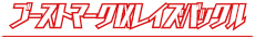 ブーストマークIXレイズバックル