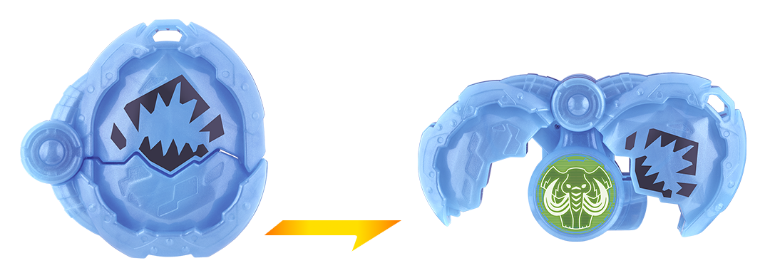 シードエグズ